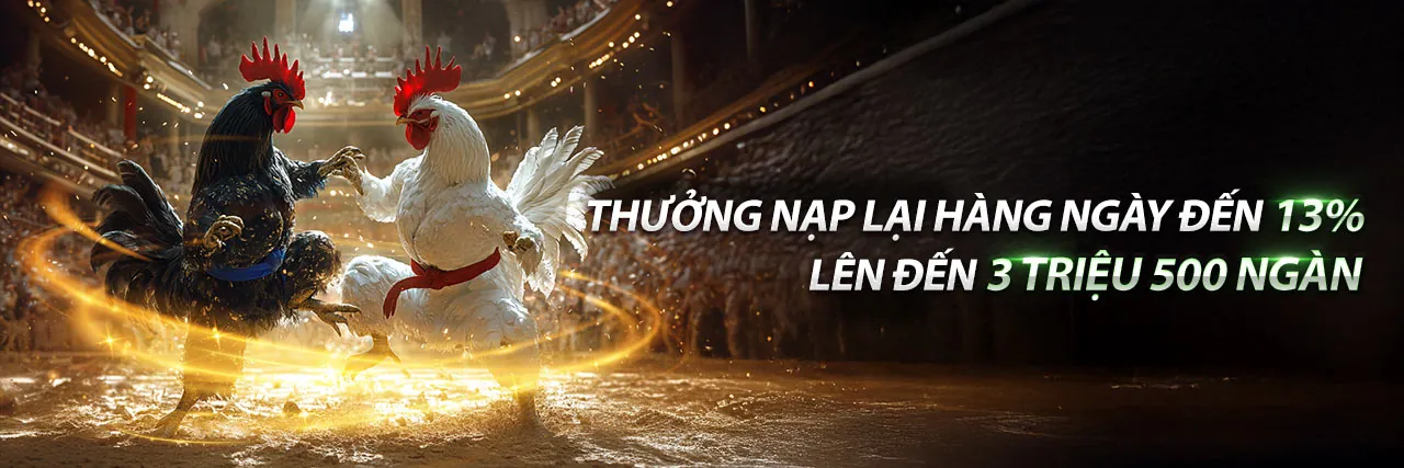 Xem trực tiếp đá gà chọi hôm nay tại 89bet VIP